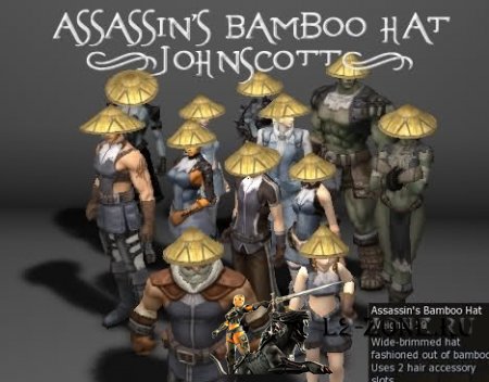 [Interlude]  Assassin's Bamboo Hat